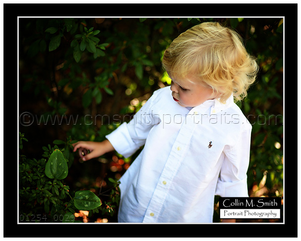 01254FB-029 01254FB-029